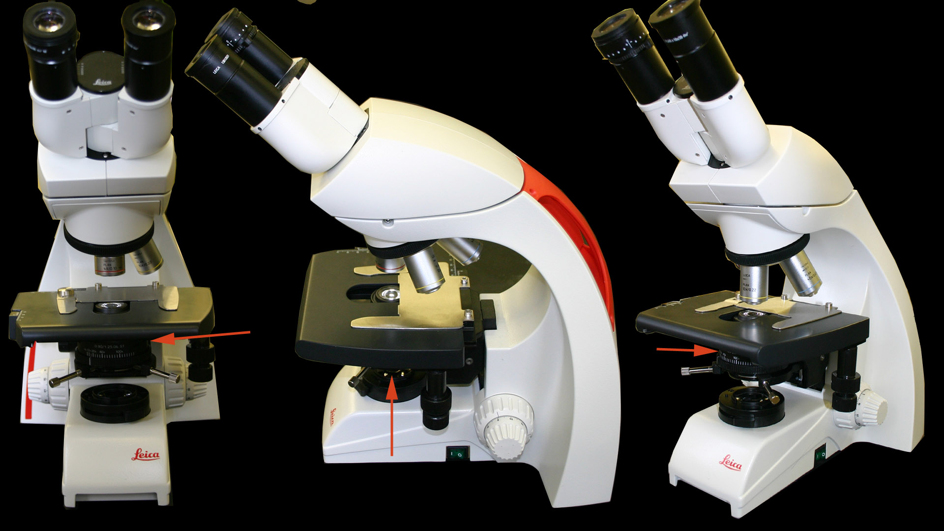 What Is The Purpose Of The Condenser Lens In A Microscope